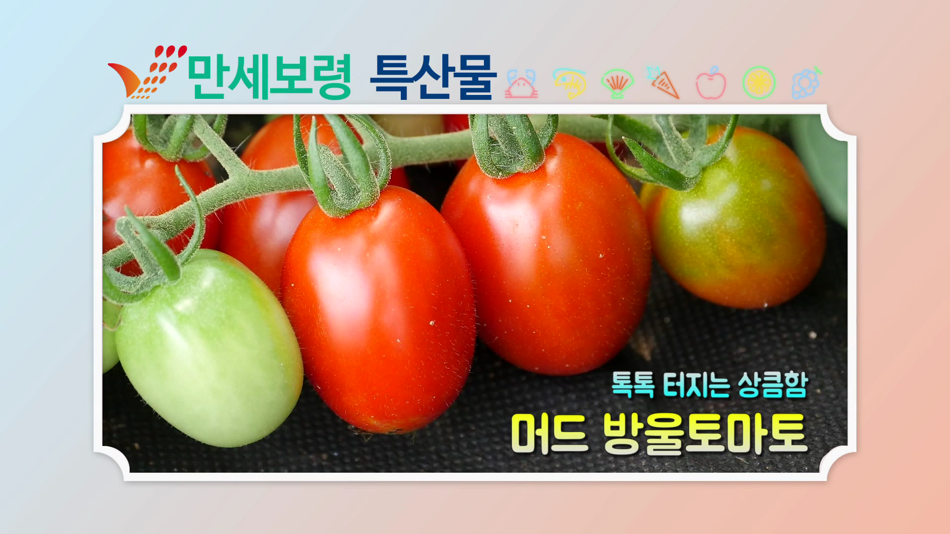 머드 방울토마토